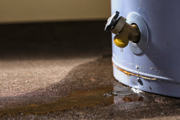 Best Residential water damage restoration  in Arizona City, AZ