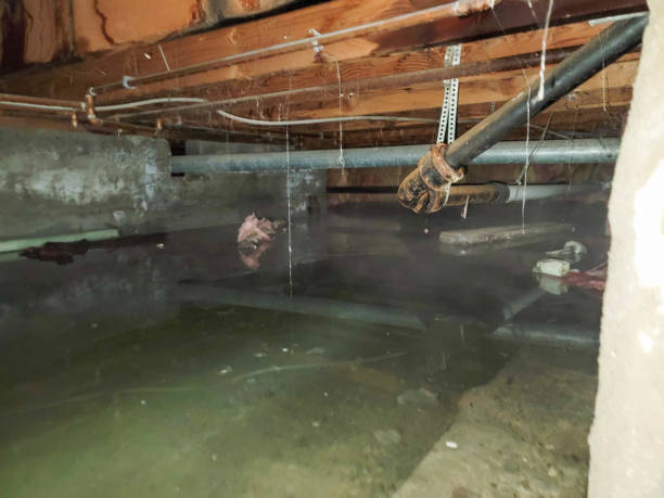 Best Flooded house restoration  in Arizona City, AZ