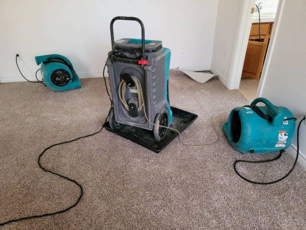 Best Basement water damage restoration  in Arizona City, AZ
