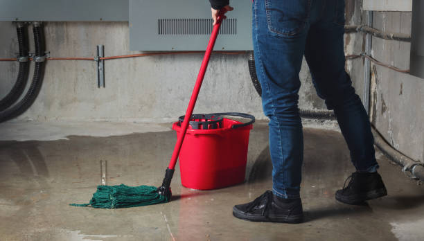 Best 24-hour water damage restoration  in Arizona City, AZ