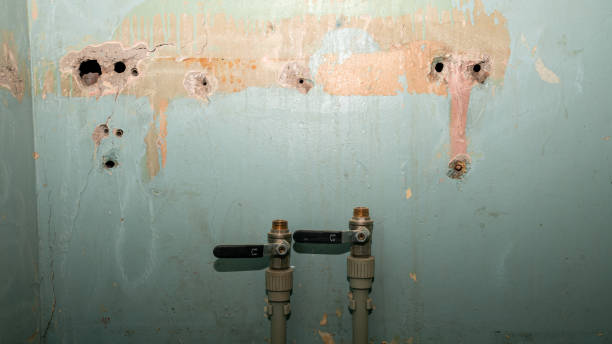 Best Water damage cleanup near me  in Arizona City, AZ