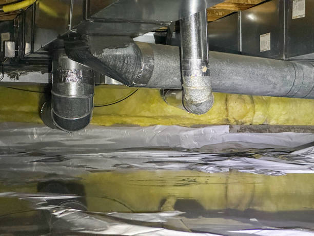 Best Water damage restoration company  in Arizona City, AZ