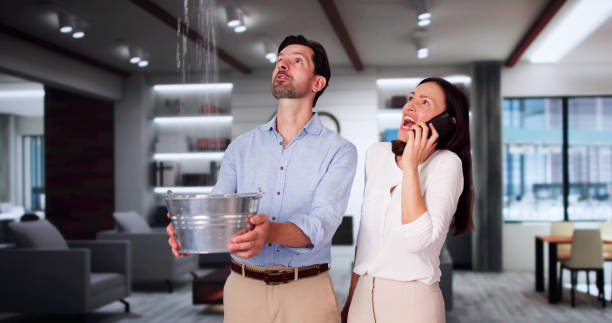 Reliable Arizona City, AZ Water damage restoration Solutions